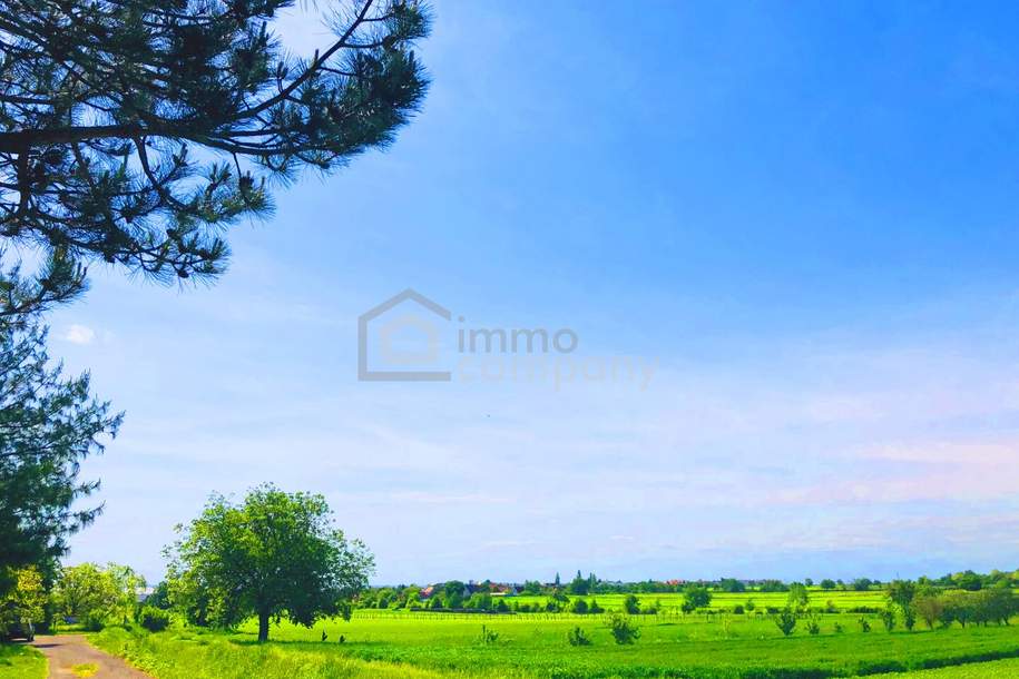 Baugrund 3 in Höhenlage am Naturschutzgebiet , Grund und Boden-kauf, 164.000,€, 7091 Eisenstadt-Umgebung