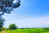 Baugrund 3 in Höhenlage am Naturschutzgebiet