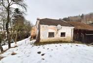 Bauernhof & landwirtschaftliche Flächen Teil 5