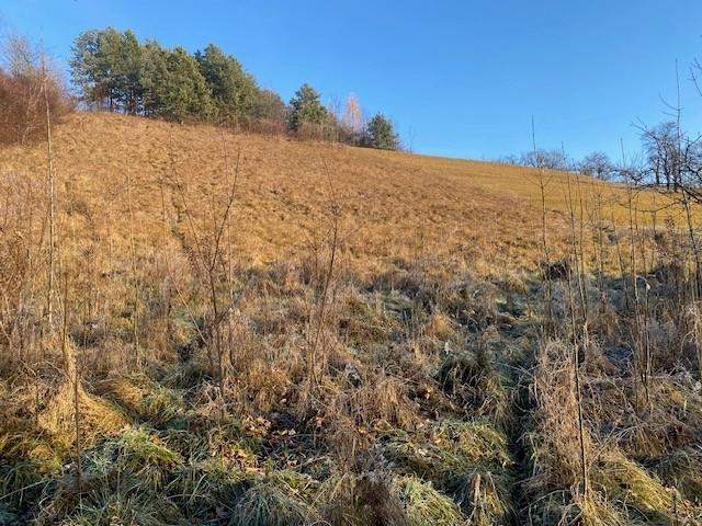 Für Naturliebhaber und Sonnenanbeter!