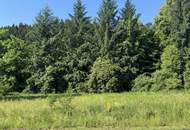 Grundstücksflächen mit Bauland-Anteil und landwirtschaftlichem Nutzungspotenzial in Pudlach bei Lavamünd