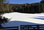Großzügiges Almhaus mit vielen Ausbaumöglichkeiten