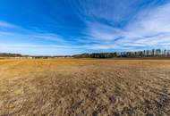 5815 m² Landwirtschaftliche Fläche als Anlage im Waldviertel!