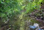 WOHNEN IM NATURPARADIES AM WALDRAND MIT MÖGLICHKEIT AUF ZWEI WOHNEINHEITEN - BESTE FERIEN- ODER ZWEITWOHNSITZEIGNUNG MIT KLEINEM BACH, OBSTBÄUMEN &amp; WALD - NICHT VOM HOCHWASSER BETROFFEN