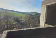 ROHBAU - MODERNES DOPPELHAUS