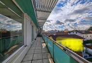 In absoluter Ruhelage bei der alten Donau, komplett möbliert