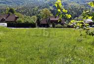 DEN BERGEN NAHE