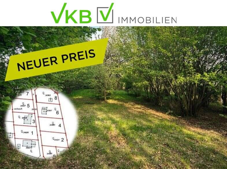 Attraktive Bauparzelle in guter Lage nähe Gallneukirchen! – Gemeinde Alberndorf in der Riedmark (GST 2438/2, 2437/3)