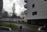 "3 Zimmer, 61 m² Terrasse, Garage, "
