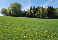 Bauernhof, Landwirtschaft, Alleinlage, Aussichtslage