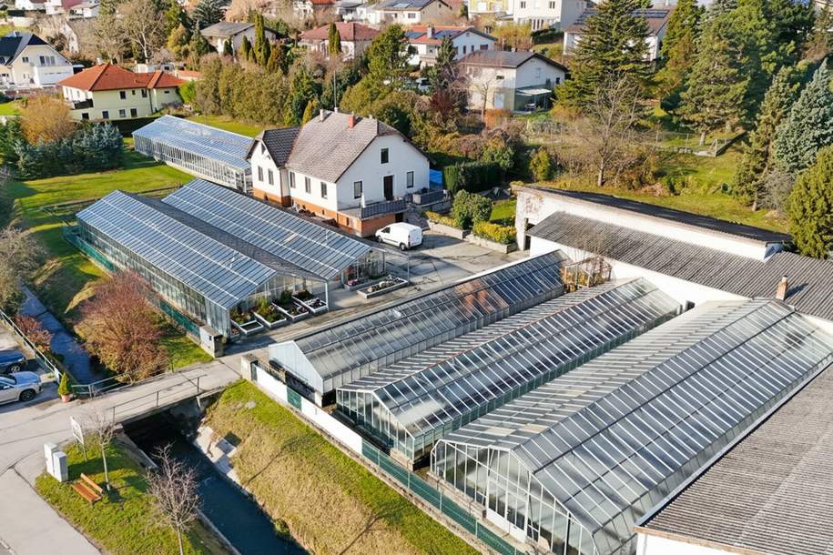 Gärtnerei nahe Tulln & Wien: Betriebsimmobilie mit Glashäusern, Außenflächen, Lagerhalle und Wohnhaus, Gewerbeobjekt-kauf, 790.000,€, 3434 Tulln