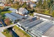 Gärtnerei nahe Tulln &amp; Wien: Betriebsimmobilie mit Glashäusern, Außenflächen, Lagerhalle und Wohnhaus