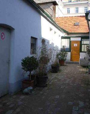 BAUGRUND MITTEN IM ZENTRUM VON STREBERSDORF mit Altbestand