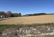 7.800 m² Baugrund in idyllischer Lage, umgeben von Rad-und Wanderwegen im mittleren Burgenland