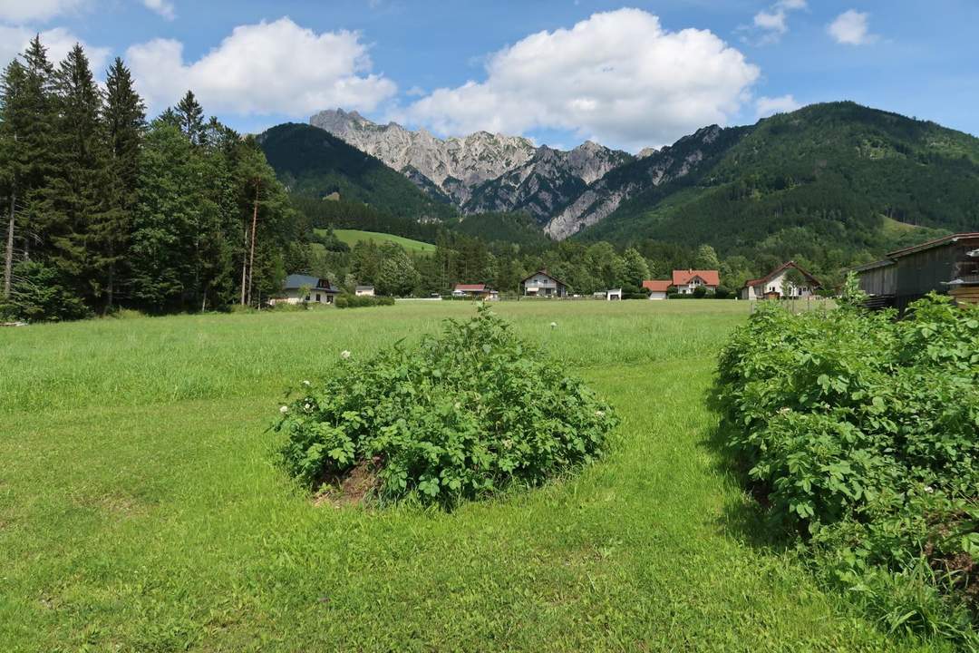 Grundstück in ruhiger und sonniger Lage in Hall bei Admont