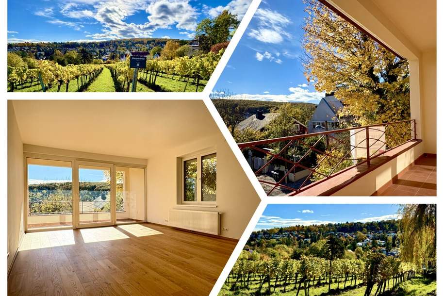EINE DER SCHÖNSTEN LAGEN WIENS! SALMANNSDORFER ERSTBEZUG MIT 4 ZIMMERN UND GARAGE, Wohnung-kauf, 765.000,€, 1190 Wien 19., Döbling