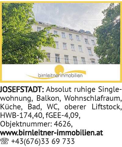 Absolut ruhige Singlewohnung, Balkon, Wohnschlafraum, Küche, Bad, WC, oberer Liftstock, HWB-174,40,