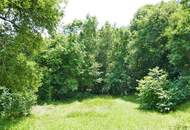 Bauträgergrundstück mit Altbestand in Traumaussichtslage in Gablitz