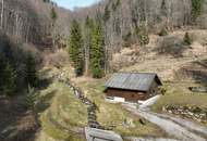Ca. 16 ha Vielseitige Land- und Forstwirtschaftsflächen im Sackgraben – Gnadenberg