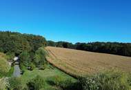 Attraktiver Bungalow auf einem großzügigen, sonnigen Grundstück in ruhiger Südlage