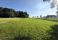 Wald- und landwirtschaftliche Nutzflächen