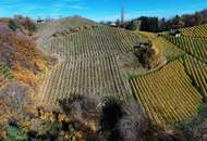 Preisanpassung !! Weingarten mit Landwirtschaft und Altbestand in Kranach, Gemeinde Gamlitz