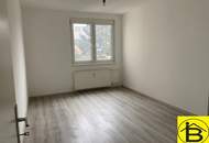15363 Unbefristete Miete; NEU RENOVIERT in Zentrumsnähe