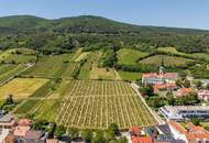 "Gumpoldskirchen nach Deinem Geschmack!“