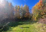 TOP LAGE! Einfamilienhaus mit viel Potenzial!