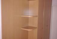 Wenn Sie die Natur vor dem Fenster möchten und trotzdem nicht auf alle Annehmlichkeiten einer Stadt verzichten wollen, sind Sie hier genau richtig!!