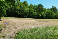 „Sonnige Baugrundstücke im Südburgenland in ruhiger Waldrandlage“