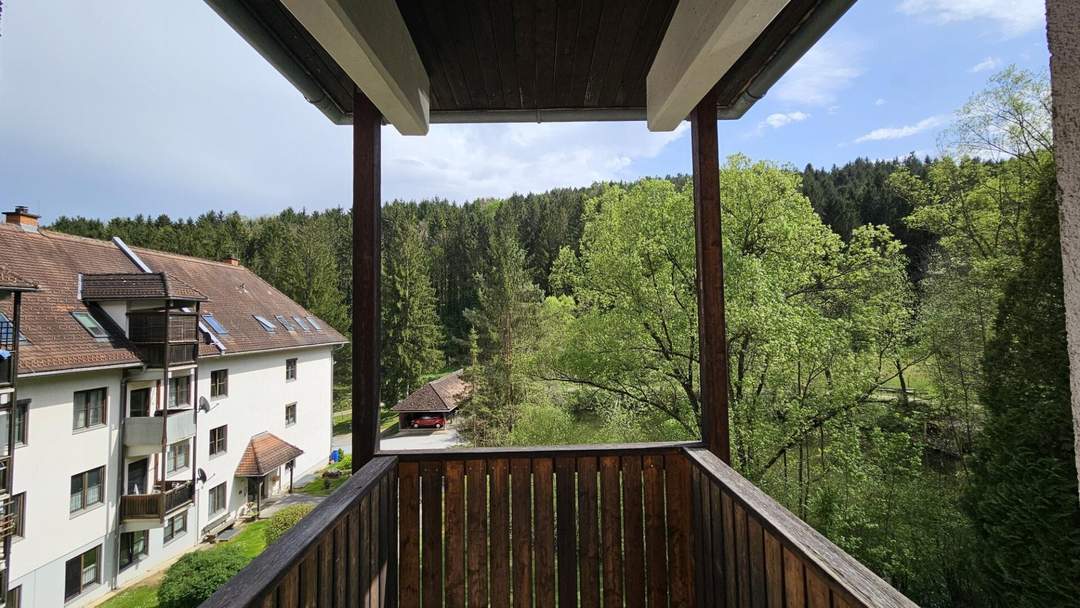 Unbefristete und leistbare Garconniere mit Balkon!