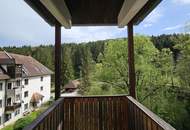 Unbefristete und leistbare Garconniere mit Balkon!