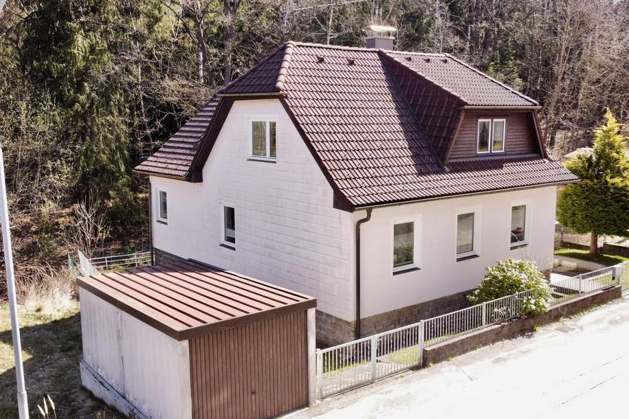Gepflegtes Einfamilienhaus in ruhiger Waldrandlage - Heidenreichstein, Haus-kauf, 129.000,€, 3860 Gmünd