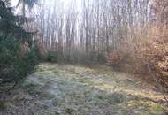 "Rarität in Mauerbach"