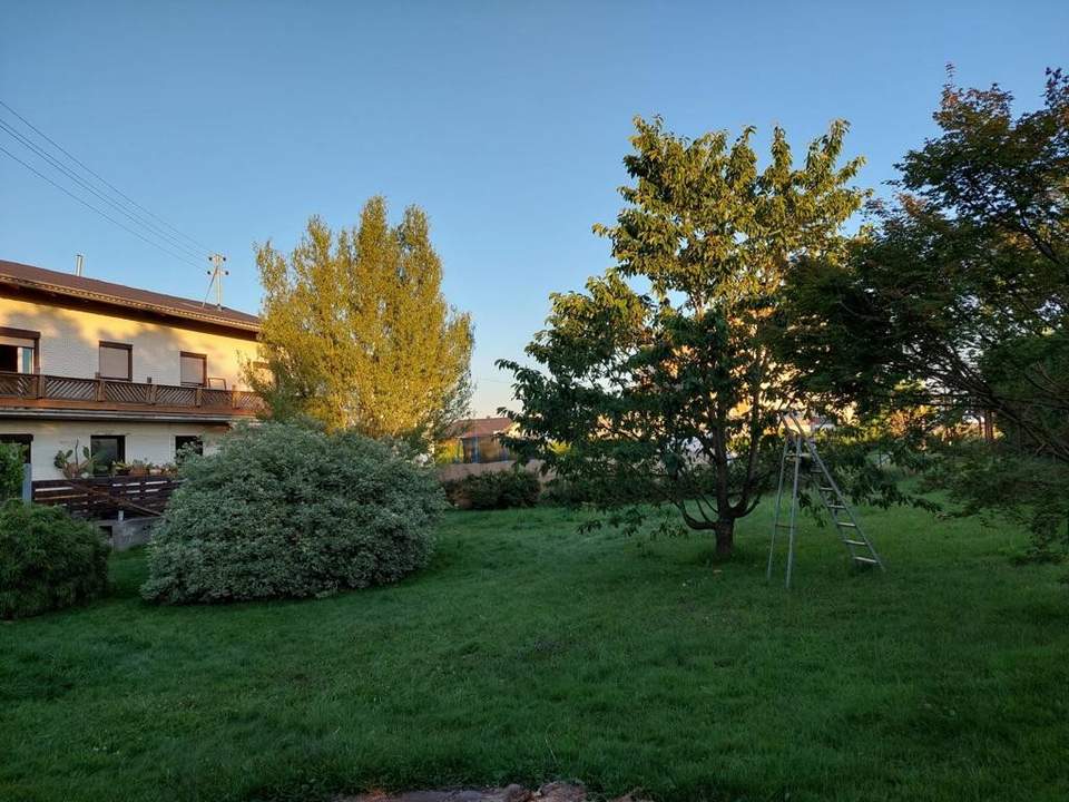 Traumgrundstück mit Bergblick: ca.900 m² für Ihr Eigenheim