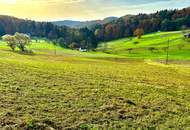 Wohnhaus mit Wirtschaftgebäude und landwirtschaftlicher Fläche in bester Lage