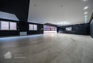 Exklusive Designvilla mit repräsentativem Firmensitz, 15-Meter-Pool und privater Fahrzeuggarage