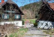 Großzügige Liegenschaft mit über 5 Hektar Grund in Pernegg – Wohnhaus, Nebengebäude &amp; enormes Potenzial