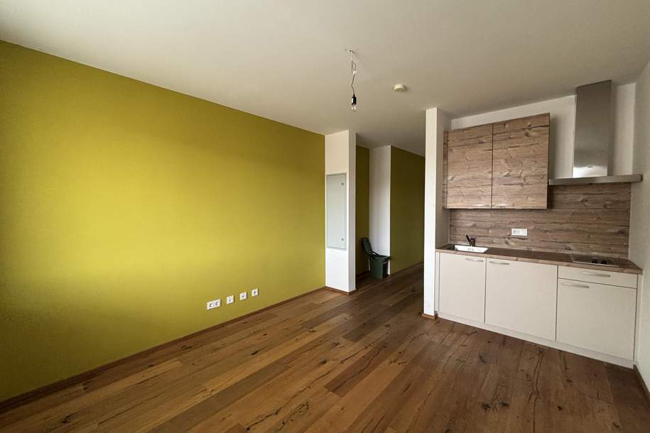 Wohnstudio: 1 Zimmer-barrierefrei-zentral, Wohnung-miete, 451,86,€, 4320 Perg