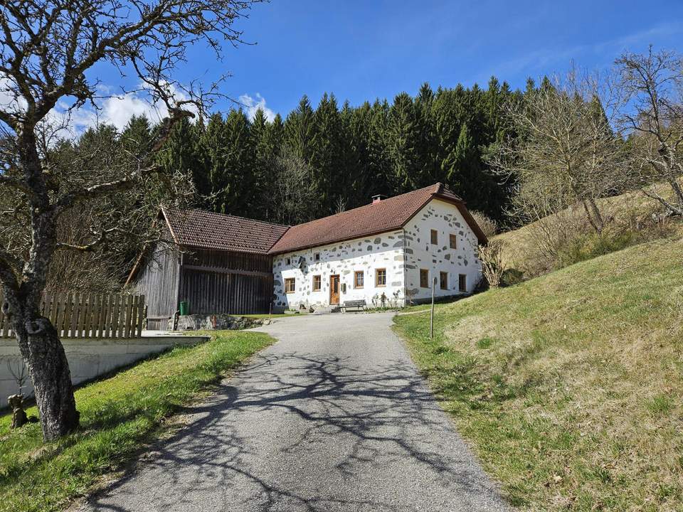 Sacherl mit ca. 4,9 ha arrondiertem Wald- und Wiesengrund in idyllischer Alleinlage