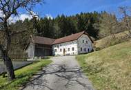 Sacherl mit ca. 4,9 ha arrondiertem Wald- und Wiesengrund in idyllischer Alleinlage