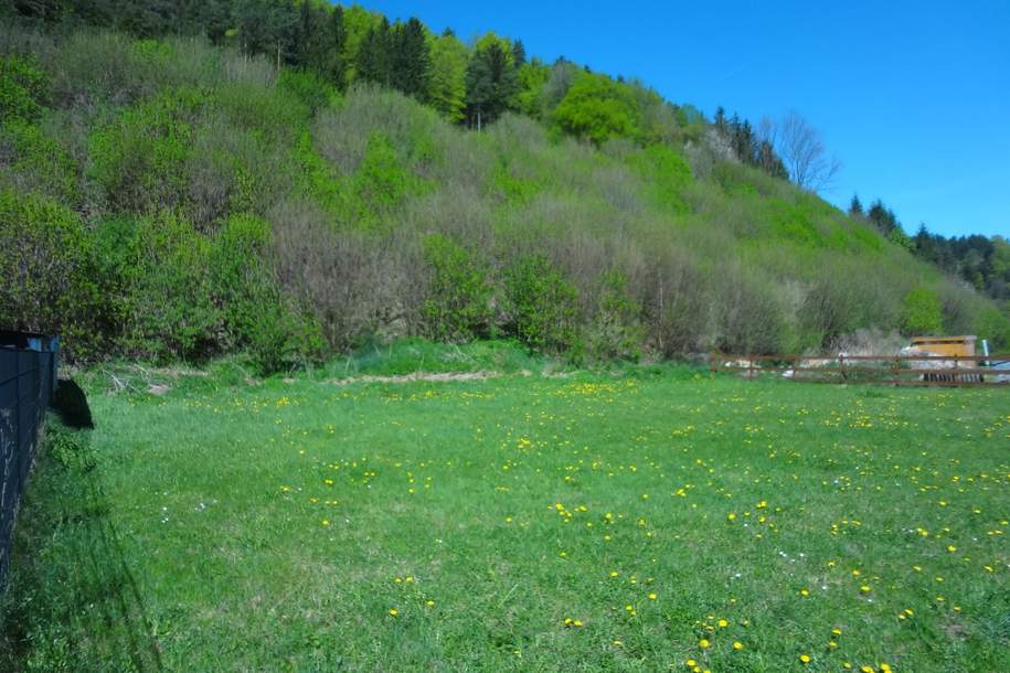 GRUNDSTÜCK OHNE BAUZWANG IN RUHIGER LAGE!, Grund und Boden-kauf, 66.720,€, 2832 Neunkirchen