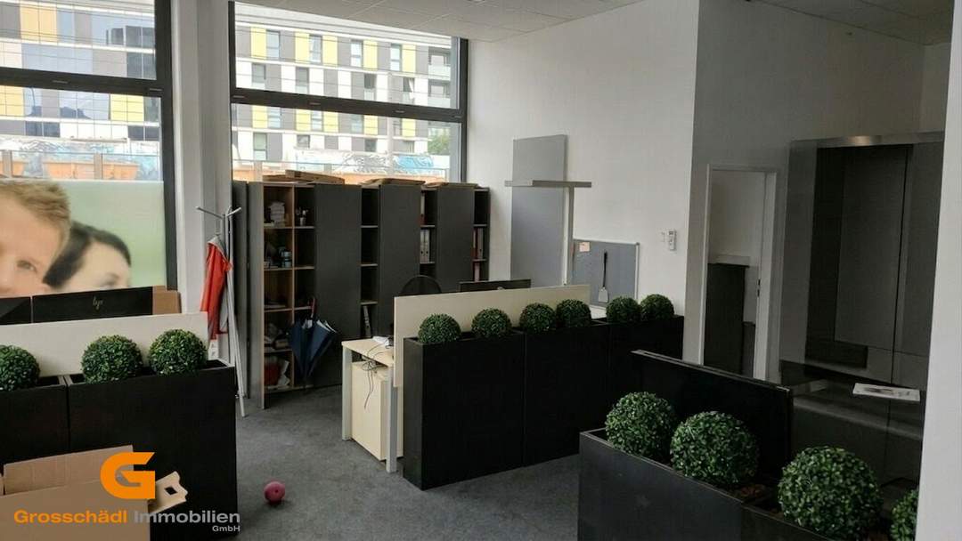Salzburg Nord - Moderne Showroom / Büroflächen mieten