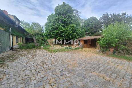 Bauträgerliegenschaft; Winzerhof-Grundstück mit Entwicklungspotenzial; Laut Studie 1.550m² erzielbare Wohnnutzfläche möglich, Grund und Boden-kauf, 1.650.000,€, 1210 Wien 22., Donaustadt