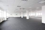 Lagerhalle 224 m2 + Büro 341 m2 Kombination südlich von Wien, in Wr. Neudorf