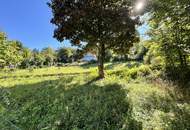 Graz-Andritz: Exklusives Grundstück mit Panoramablick und Baubewilligung für Haus und Pool nahe dem Stoffbauer
