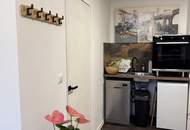 Attraktive 4-Zimmer-Wohnung, Kamin, Infrarotkabine, renovierter Keller, Garage