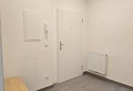 Neusanierte zwei Zimmerwohnung