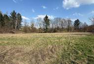 Großzügiges Grundstück ohne Bauzwang – Ideal für Gewerbe &amp; Investoren